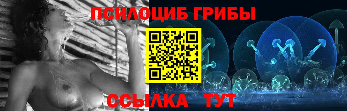 Псилоцибиновые грибы MAGIC MUSHROOMS  Вход с VPN  Новочебоксарск 